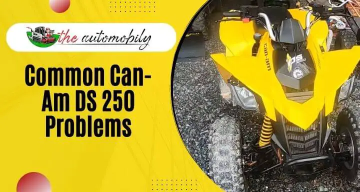 6 Common Can-Am DS 250 Problems (How To Fix Them)