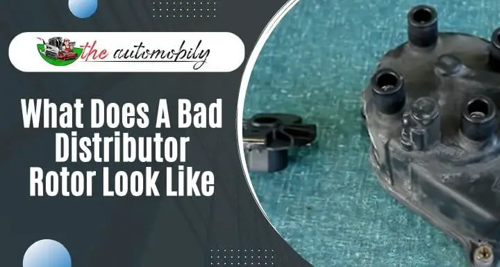 What Does A Bad Distributor Rotor Look Like? [Explained]
