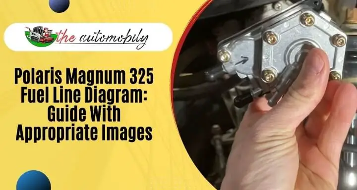 Polaris Magnum 325 Fuel Line Diagram: Guide With Images
